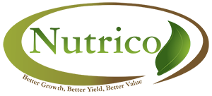 New Logo 2017